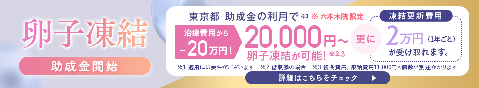 卵子凍結助成金