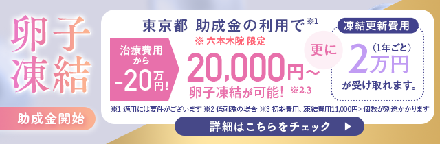 卵子凍結助成金