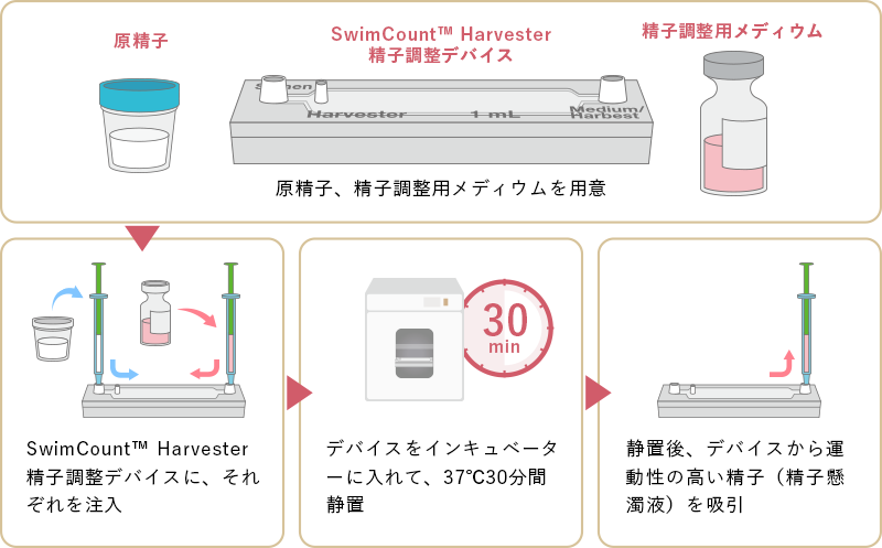 【SwimCount™ Harvesterによる精子回収ステップ】