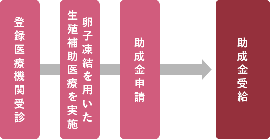患者さんの流れ