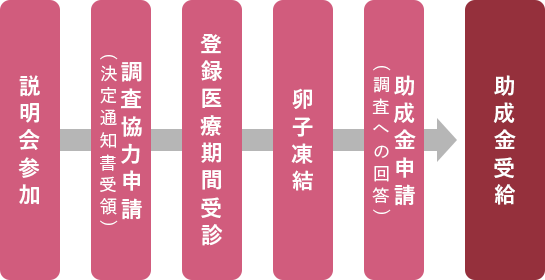 患者さんの流れ